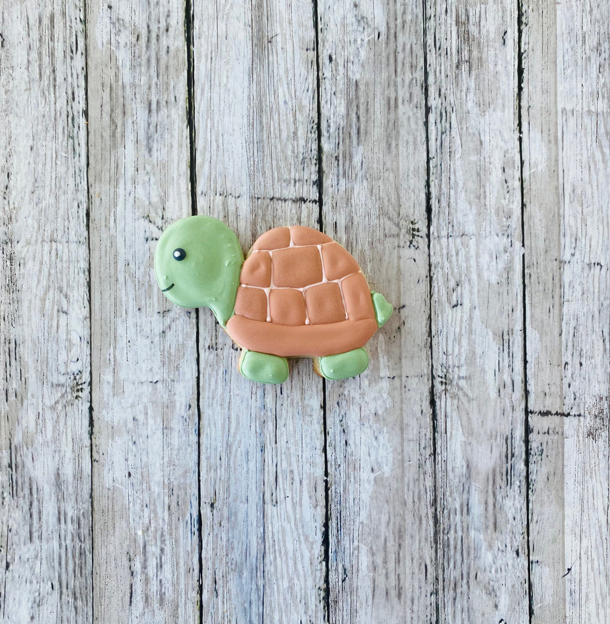 Turtle Cookie Cutter, Animal cutter, shell cutter