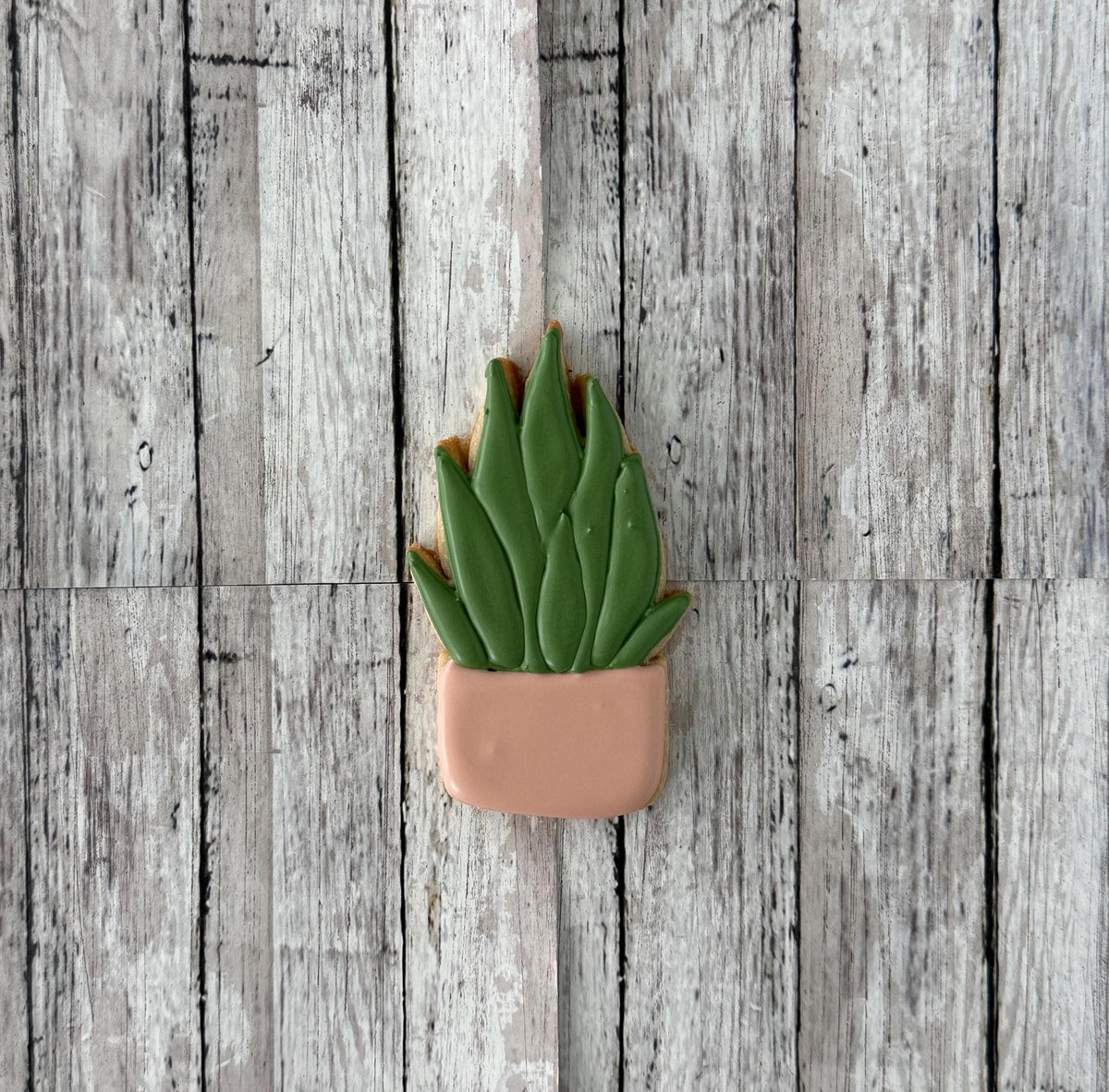 Succulent Potted Plant 3 Cookie Cutter, garden cutter, nature cutter, plant cutter, flower cutter, Mother's Day cutter, gardener cutter